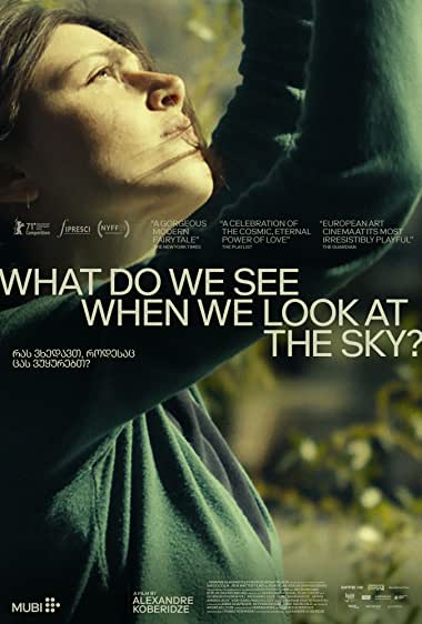 Movie Cover for What Do We See When We Look at the Sky?