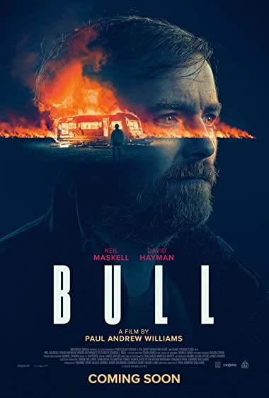 Movie Cover for Bull